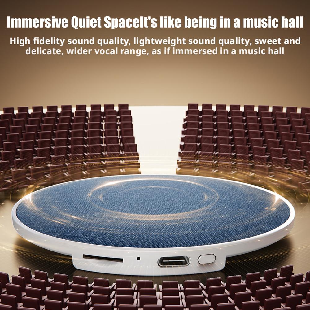 Sleep White Noise Speaker Pill - đánh giá và giá Audio Music Enhancer