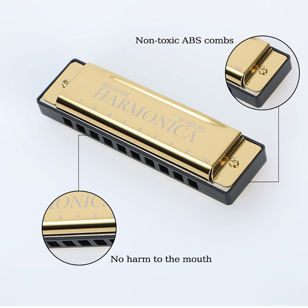10 Hole C Harmonica Blues Harp - đánh giá và giá Harmonica 10 Hole