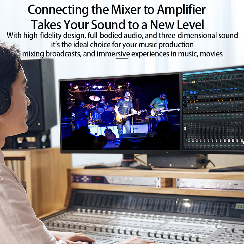 CHOSEAL 2XLR Female to 2RCA Ma - đánh giá và giá Audio Music Mixer